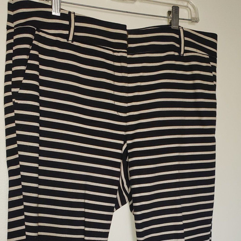 Capris Pant